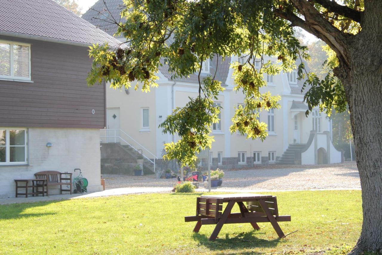 Bed & Breakfast Tiendegaarden Møns Klint Borre