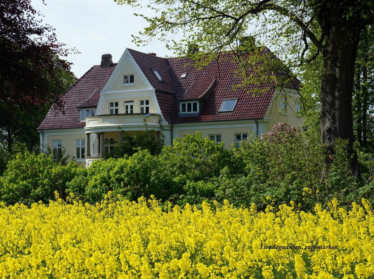 Bed & Breakfast Tiendegaarden Mons Klint 2*